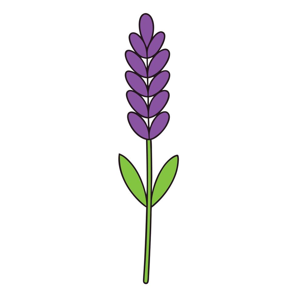 Elegant Lavender Flower Design for Creative Projects vector