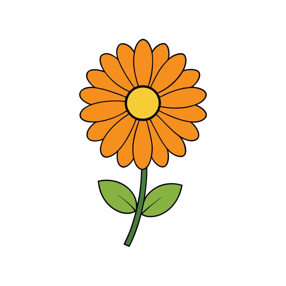 Beautiful Calendula Flower Graphics for Seasonal Themes vector