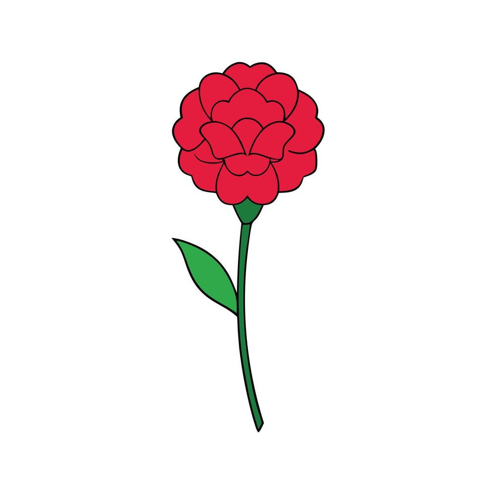 Modern Carnation Flower Design for Social Media Graphics vector