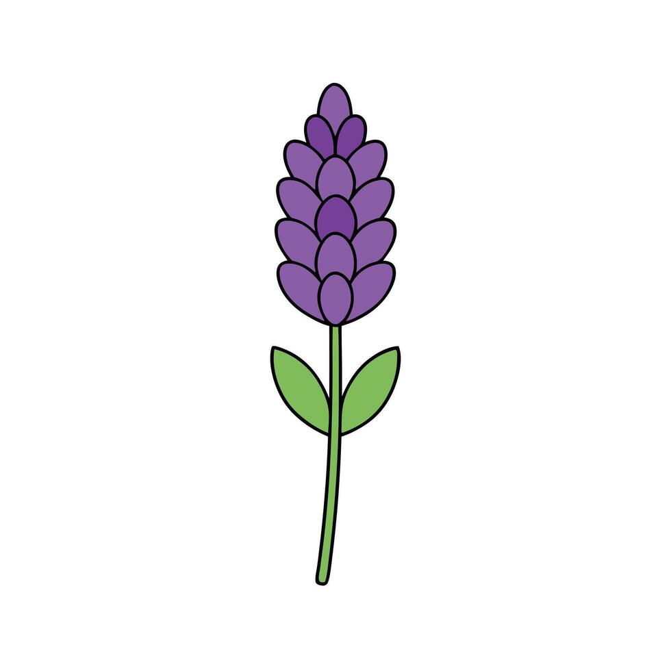 Beautiful Lavender Flower Design for Digital and Print Media vector