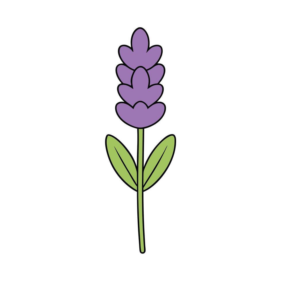 Artistic Lavender Flower Design for Greeting Cards and Posters vector
