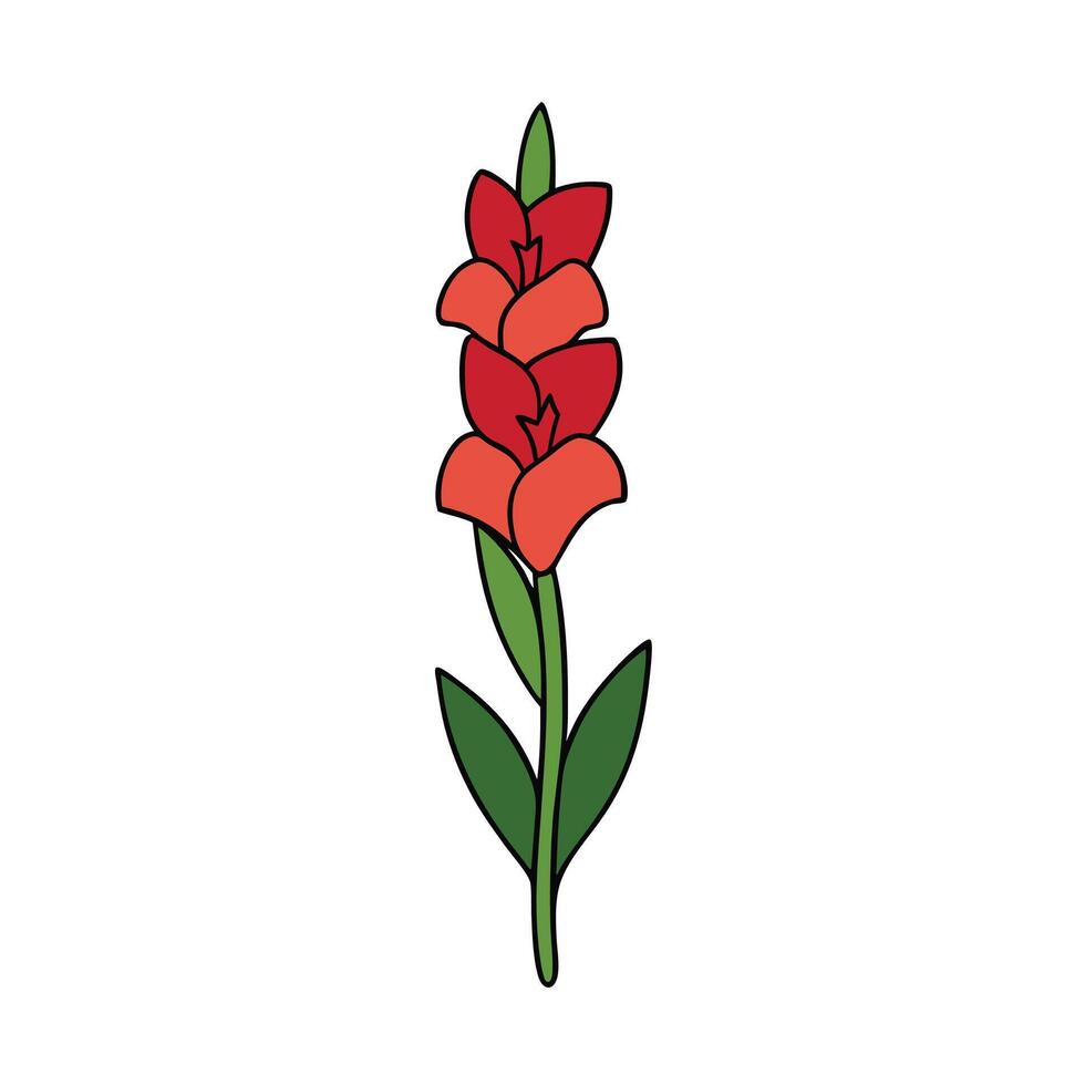 Beautiful Gladiolus Flower Design for Digital and Print Artwork vector