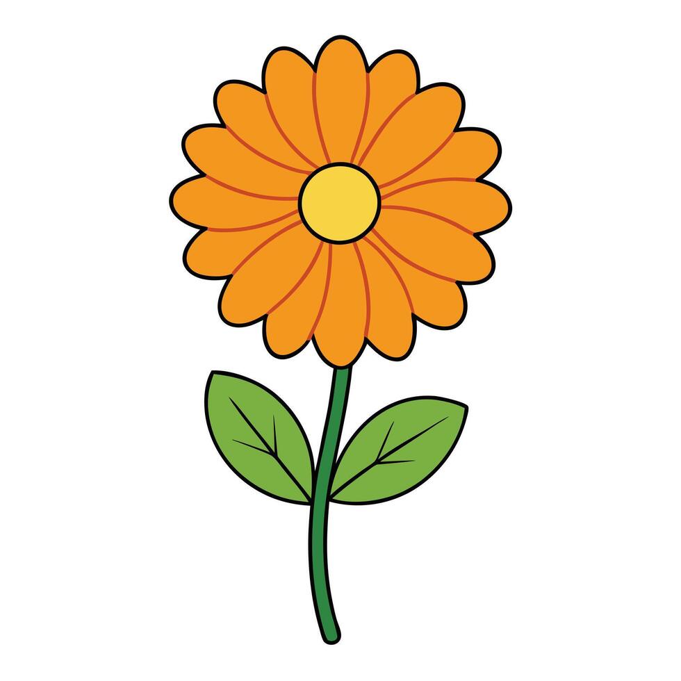 Stunning Calendula Flower Design for Garden-Inspired Art vector
