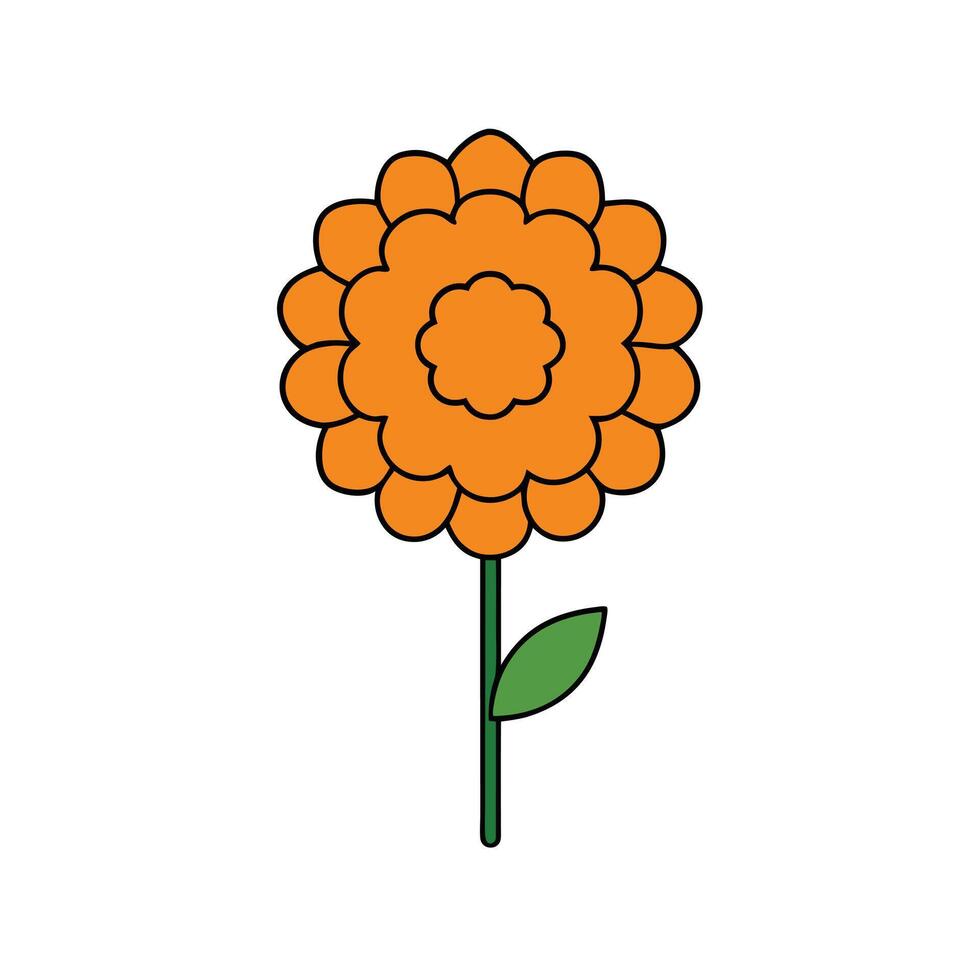 Marigold Flower Care Tips for Beginners vector