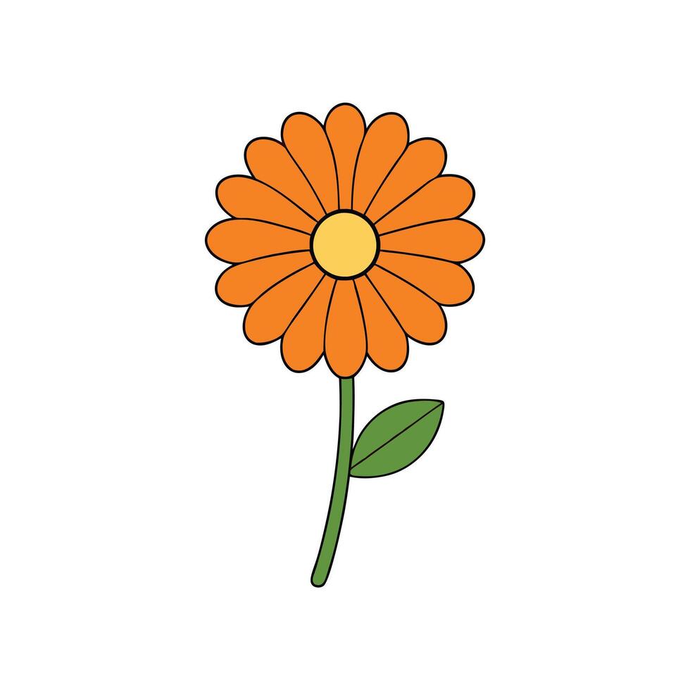Elegant Calendula Flower Design for Creative Projects vector