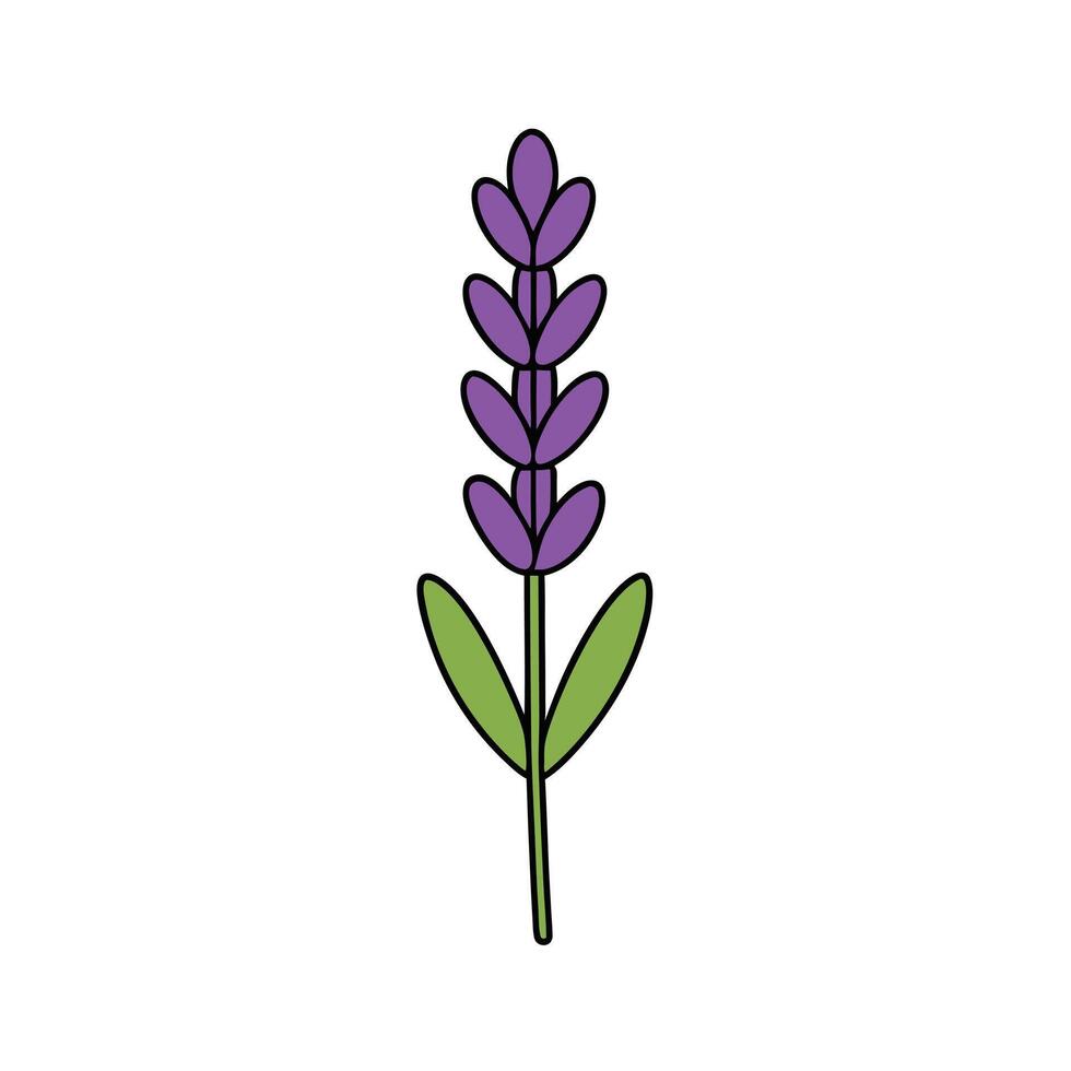 Stunning Lavender Flower Design for Nature-Inspired Artwork vector