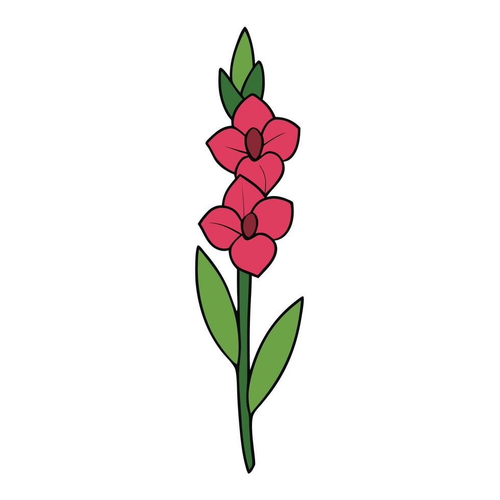 Elegant Gladiolus Flower Design for Creative Projects vector