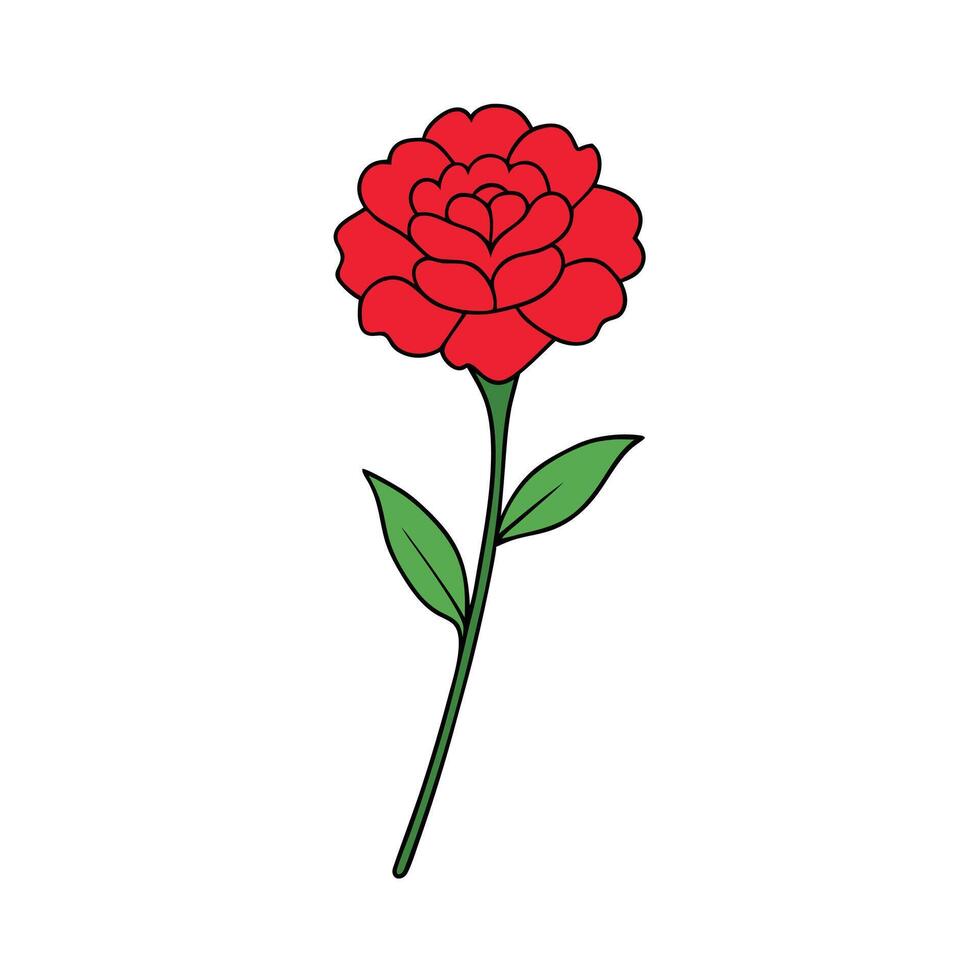 Unique Carnation Flower Design for Branding and Marketing vector