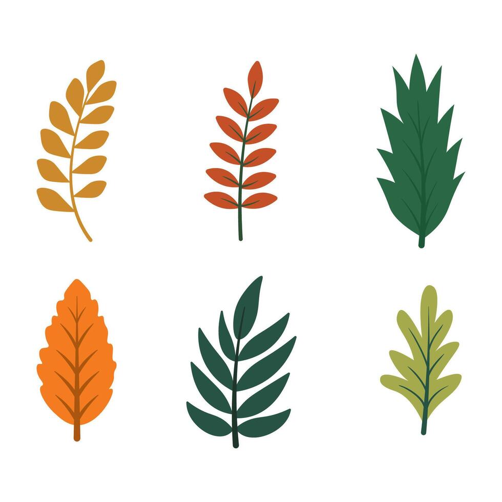 Element Set of Green Orange Leaf Leaves Foliage Natural Plant in Autumn Fall vector