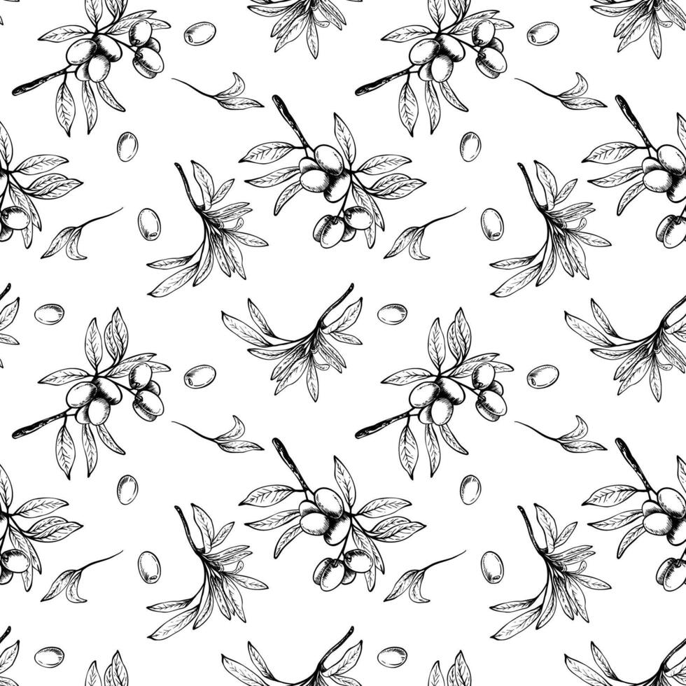 Olive tree branch with leaves and berries fruit seamless pattern. Black and white linear drawing hand drawn illustration. Botanical clipart for fabric, wallpaper print. Isolated from background vector