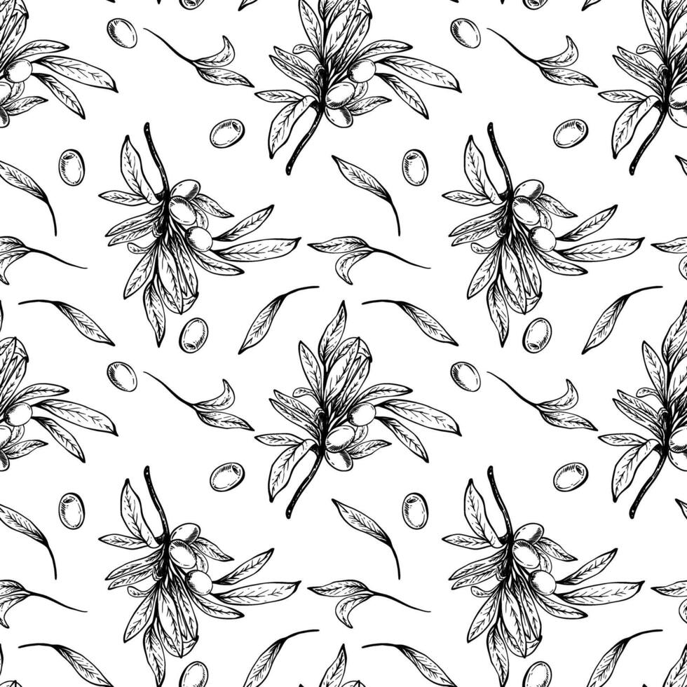 Olive tree branch, leaves and berries seamless pattern. Botanical hand drawn linear drawing illustration. Floral clipart for fabric, package, wallpaper, food packaging. Isolated from background vector