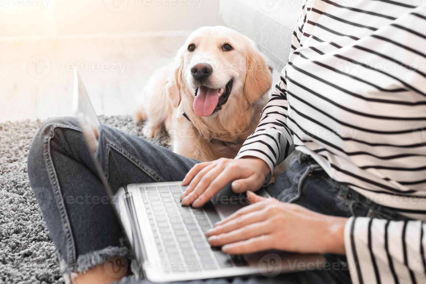 Working Home Concept. Closeup cropped view of smiling woman sitting on carpet in living room with dog, using laptop computer. Happy lady doing freelance job in internet online, teleworking on floor photo