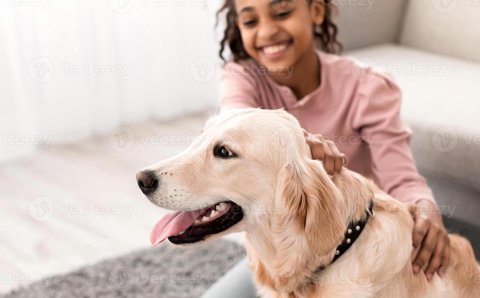 Human And Animal Connection Concept. Portrait of happy black girl patting on head her happy dog in collar sitting on gray rug floor carpet in living room at home, selective focus, blurred background photo