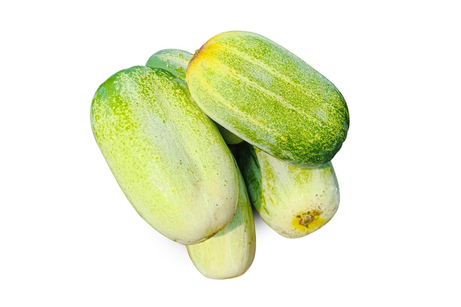 Deshi Khira. Local Cucumber is isolated on a white background photo