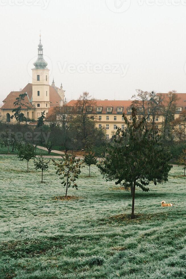 Tranquil Reflections in a Beautiful Historical Park Filled with Nature in Prague photo