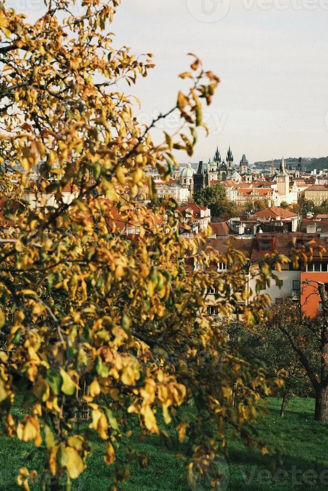 Autumn Scene in center of Prague with Colorful Foliage Overlooking a Scenic photo