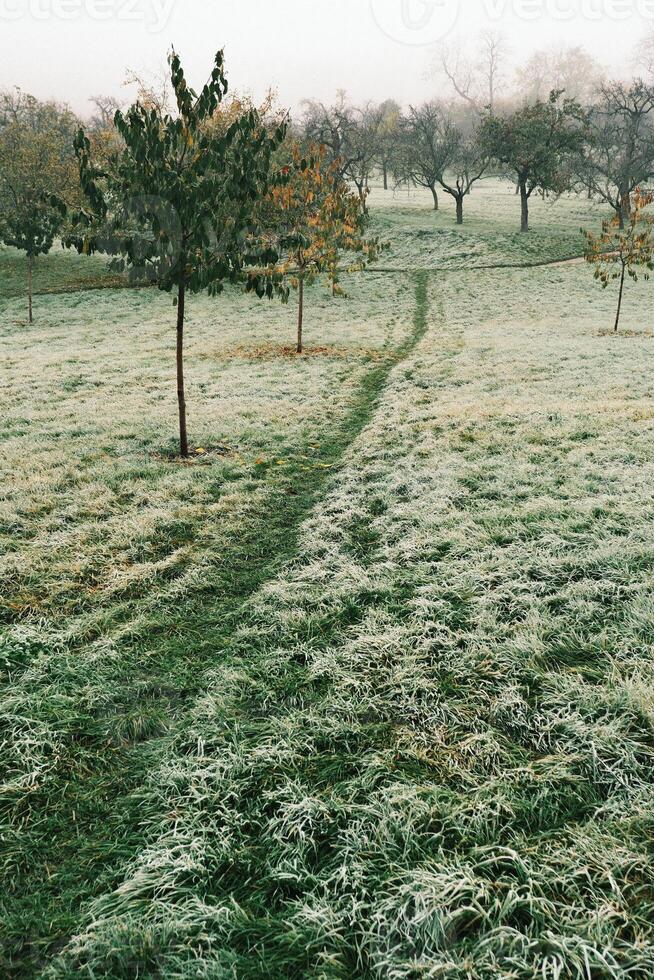 Frosty Morning Trail located in a beautiful Park offers a refreshing experience photo