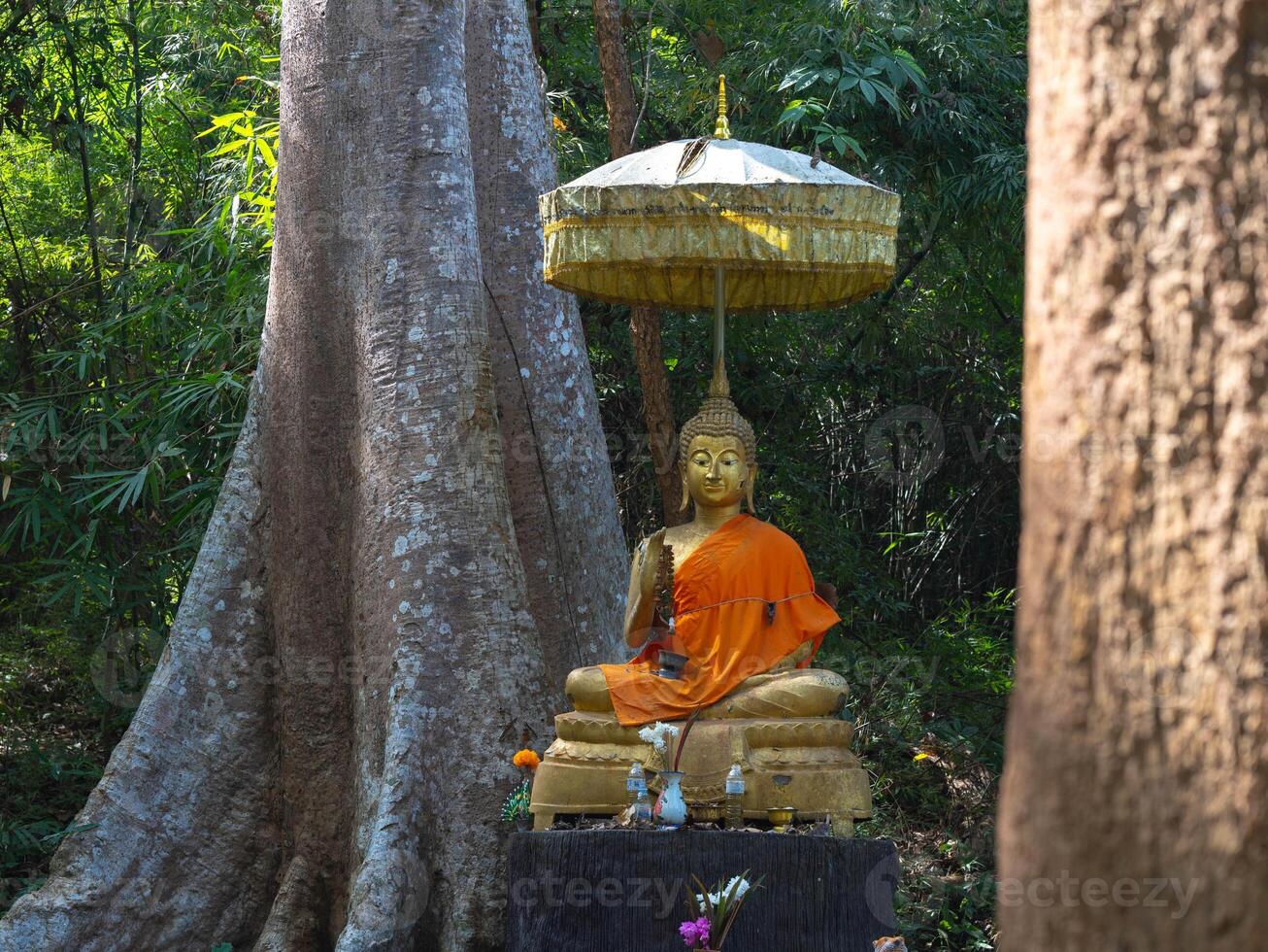 A serene golden Buddha statue in a forest setting with tall trees in the background. photo
