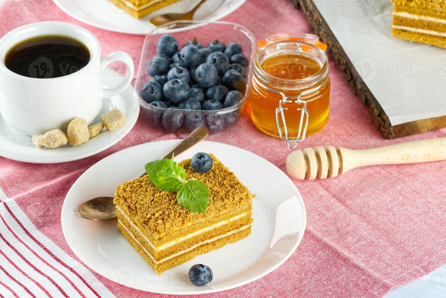 Homemade Honey cake. Honey cake Medovik, layer cake on white plate. Closeup view. sweet dessert cake. Slice of layered honey cake selective focus. photo