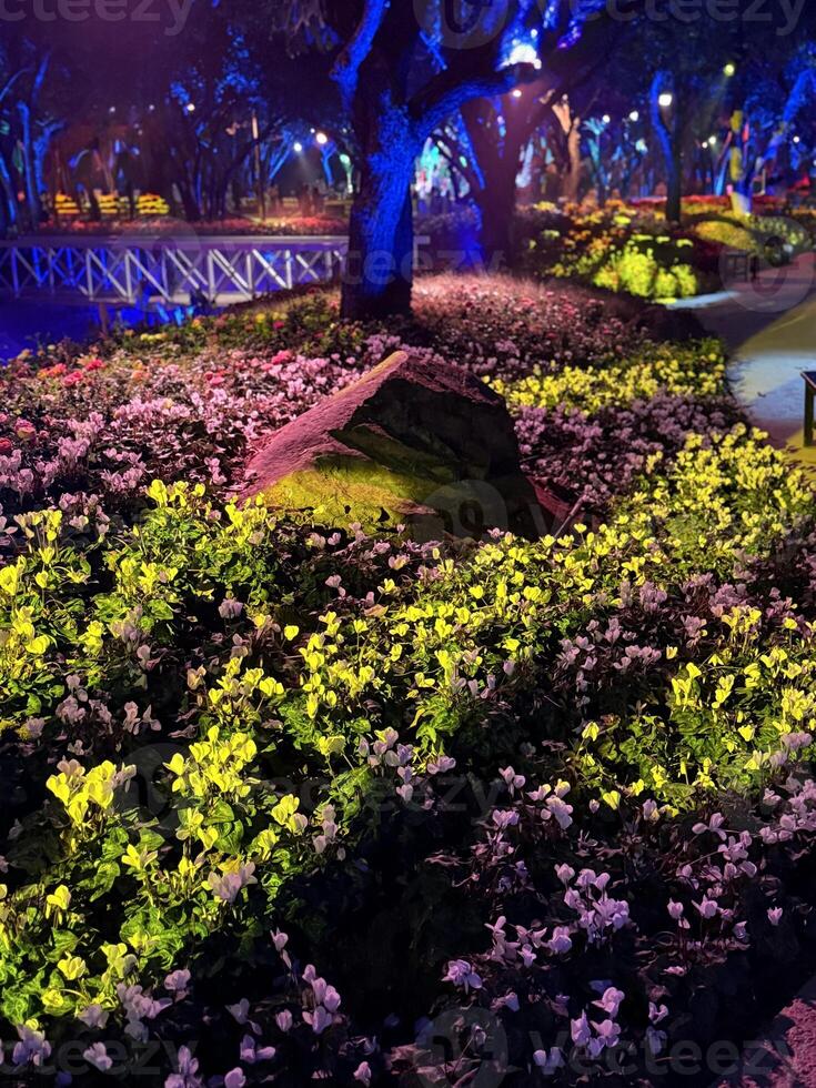 A park with flowers and trees lit up at night photo