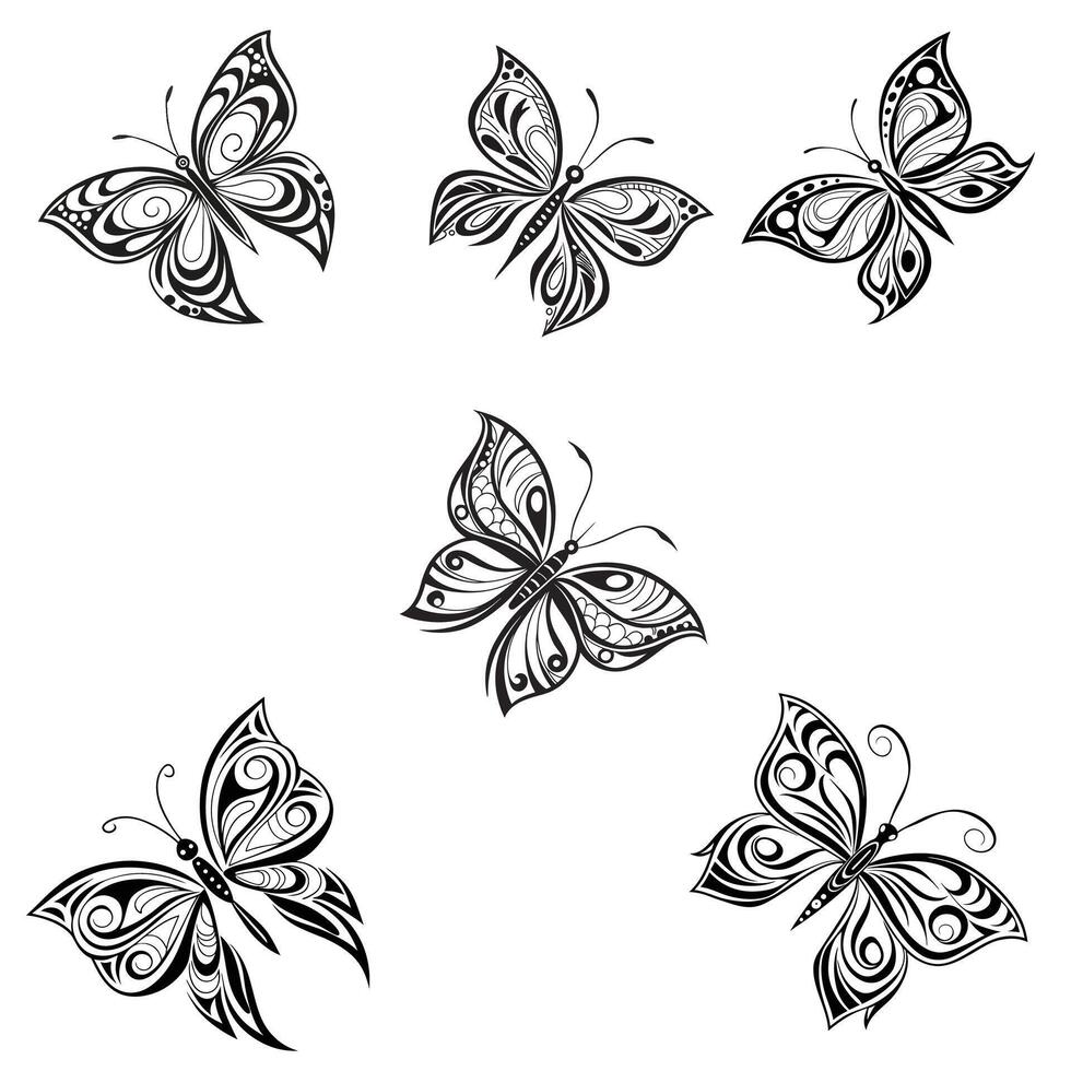 Hand drawn butterfly vector