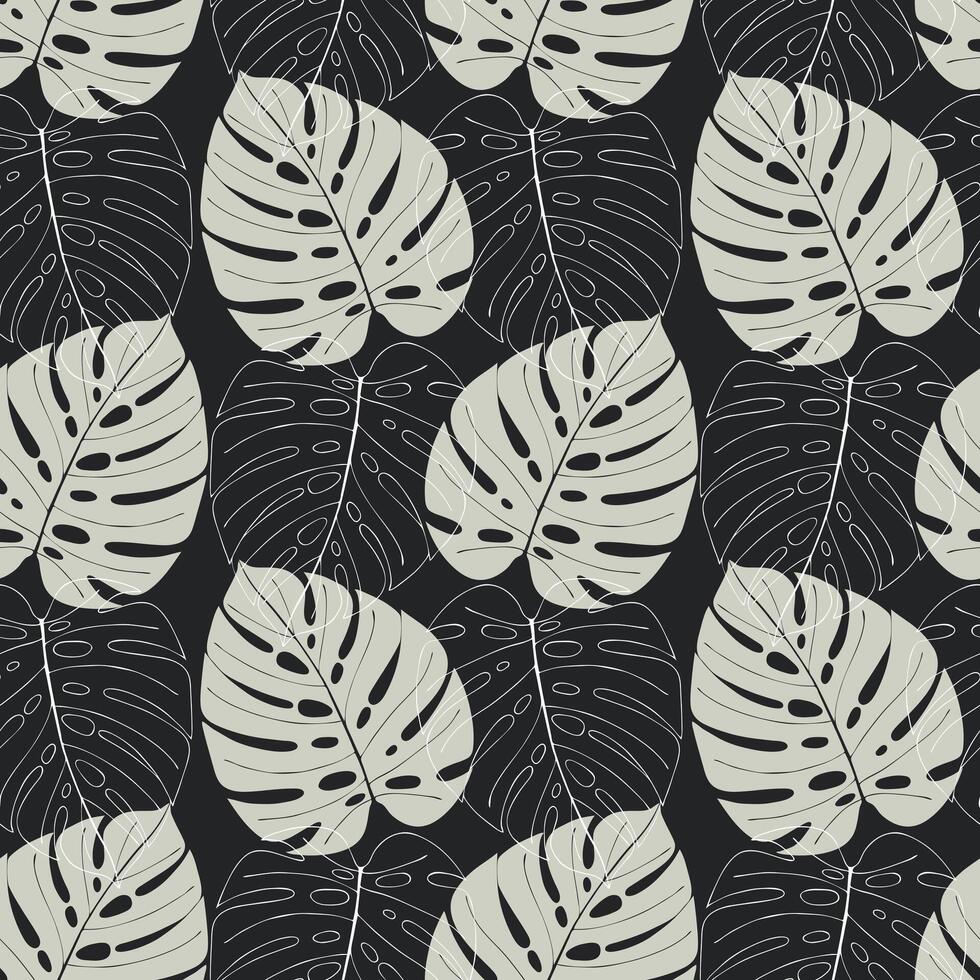 Monstera leaf pattern, white contour leaves and silhouette gray leaves monstera on dark background. vector