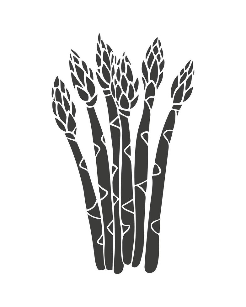 Asparagus silhouette, stylized sketch, isolated on white background. vector
