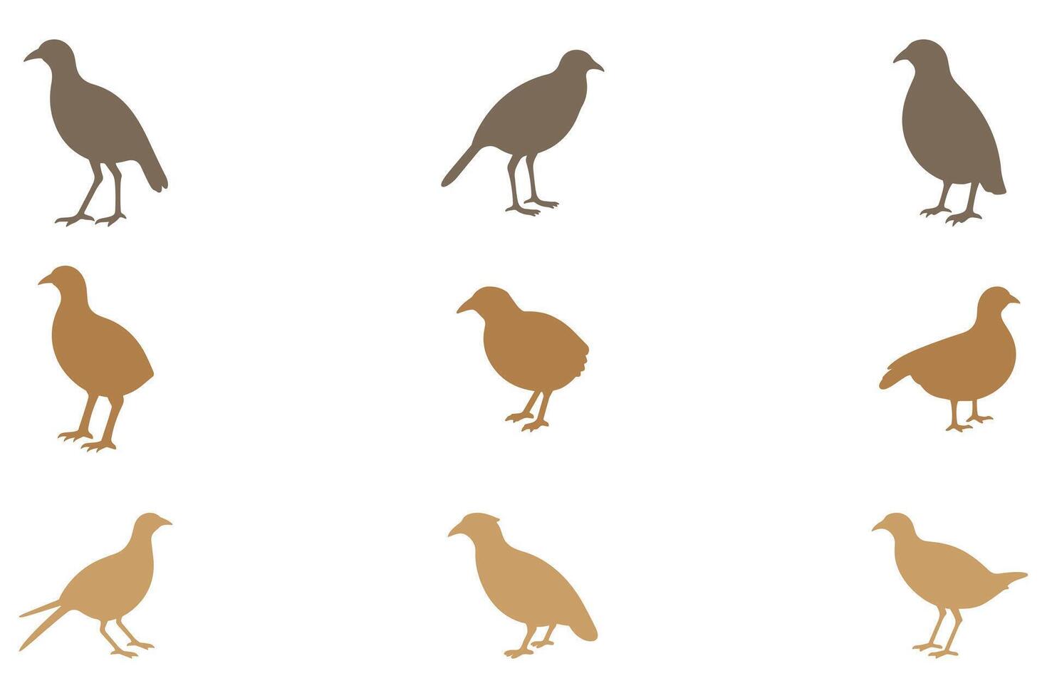 Simple Quail Bird Illustration Design Set vector