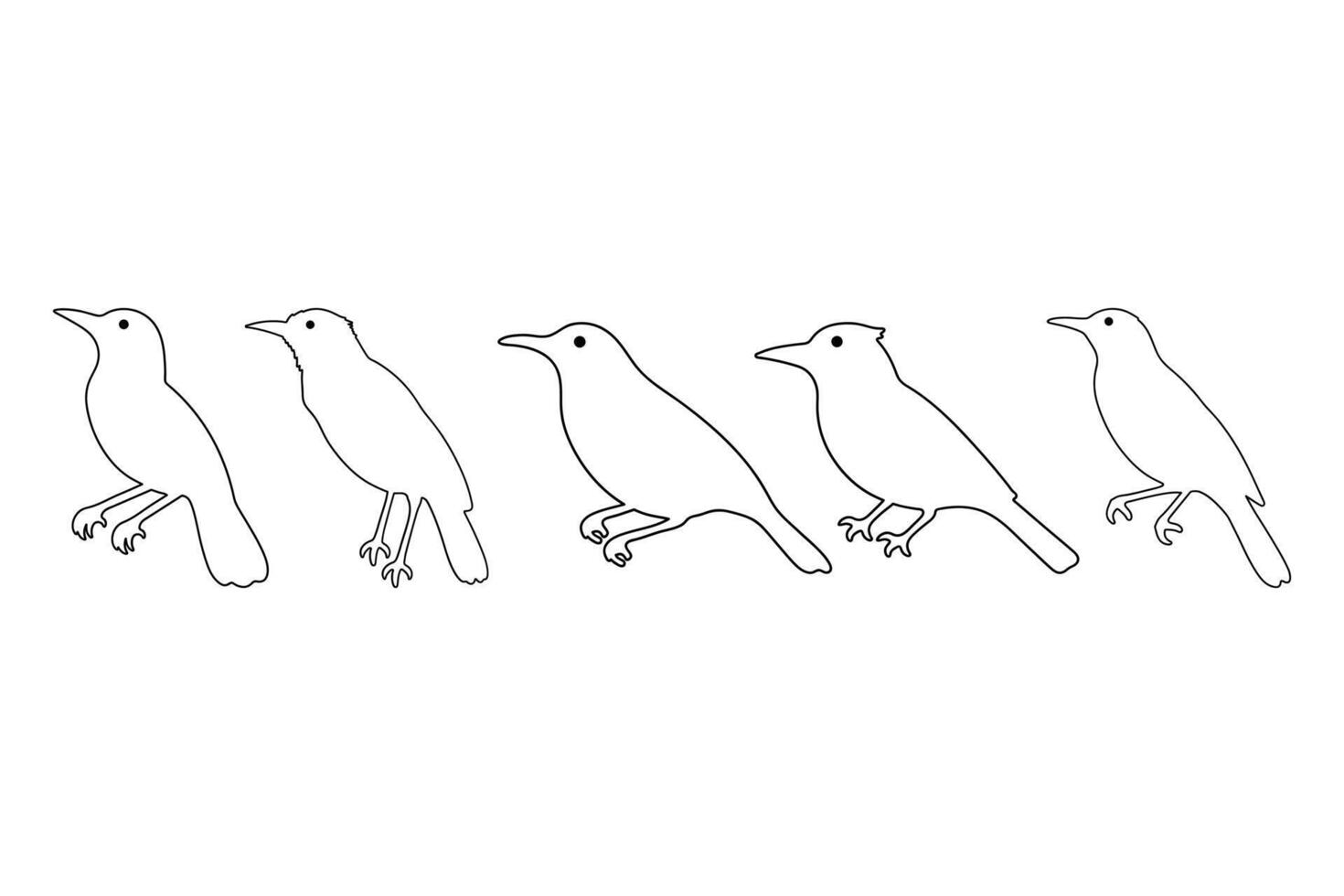 Oriole Bird Illustration Design Set. Outline Icon vector