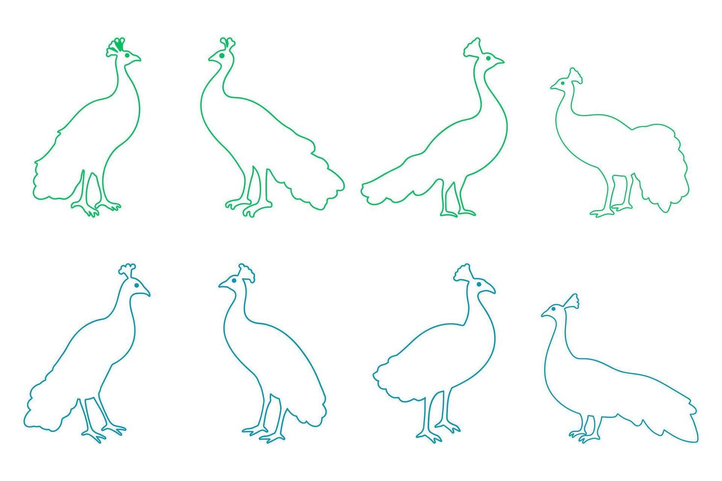 Outline Peacock Bird Illustration Design Set vector