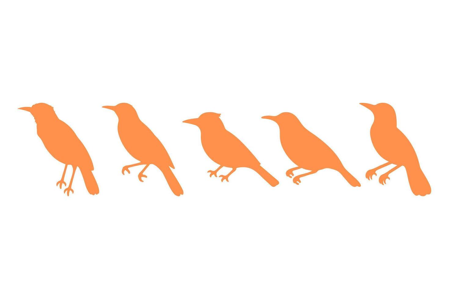 Oriole Bird Illustration Design Set vector