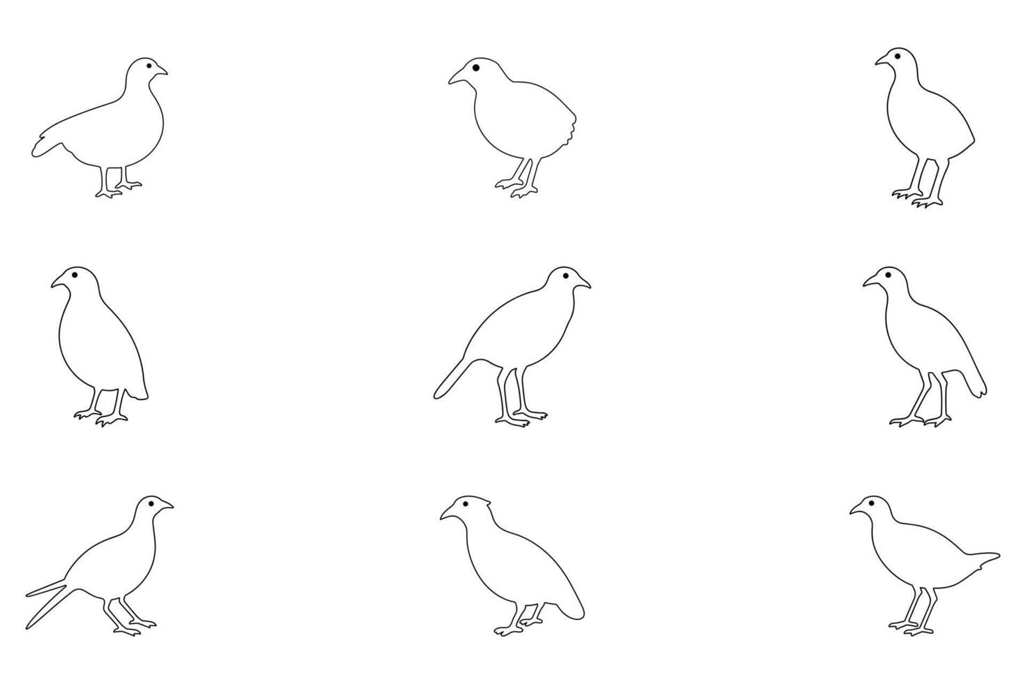 Outline Quail Bird Illustration Design Set vector