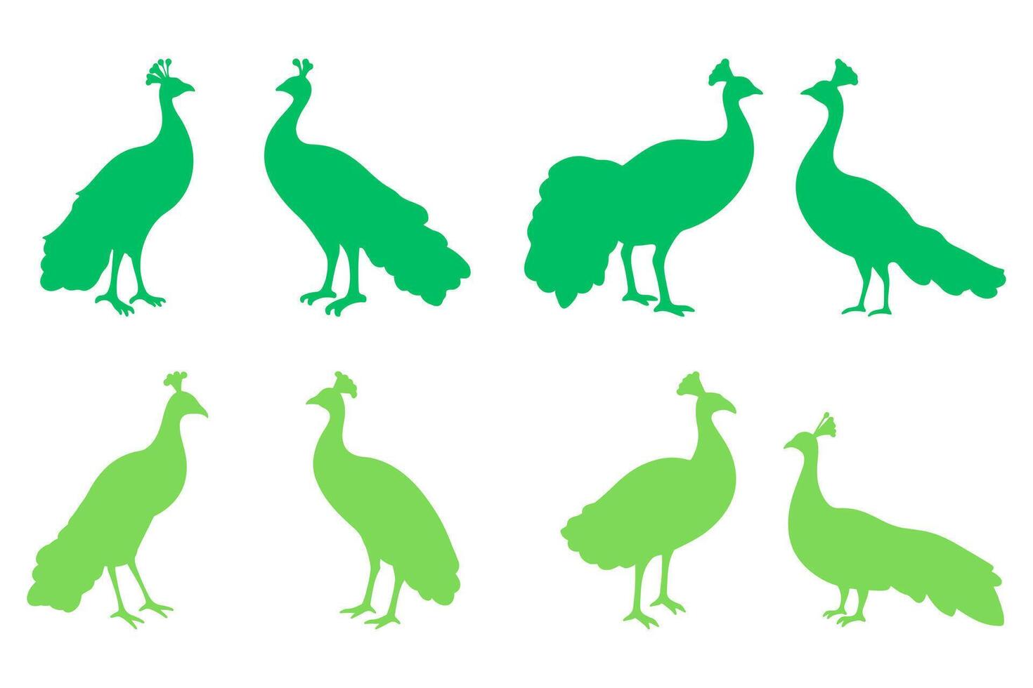 Simple Peacock Bird Illustration Design Set vector