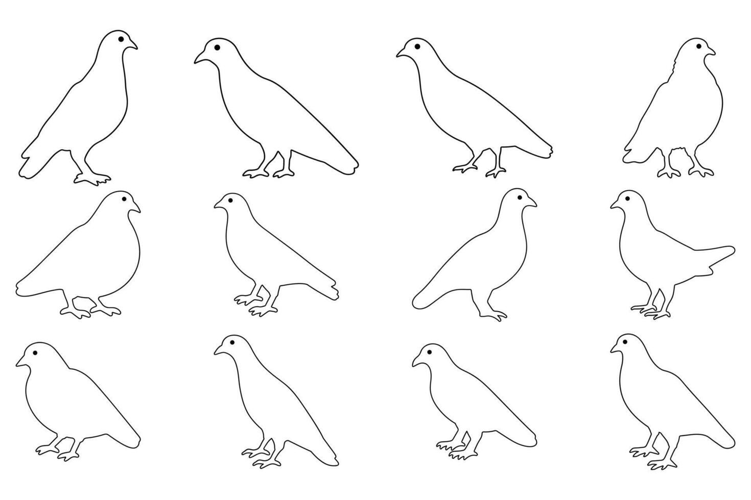 Outline Simple Pigeon Bird Illustration Design Set vector