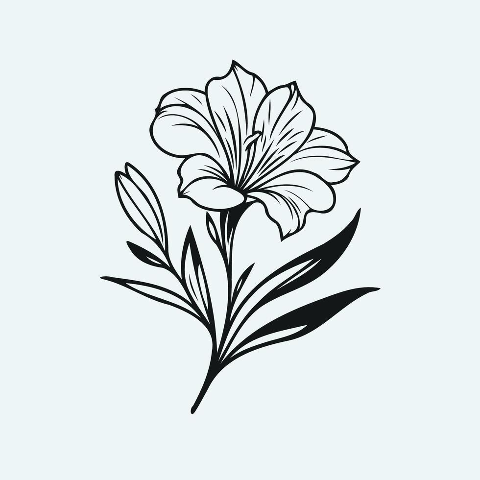 A black and white flower on a white background, Freesia flower plant outline illustration coloring book page design, Freesia flower plant black and white line art drawing coloring book pages vector