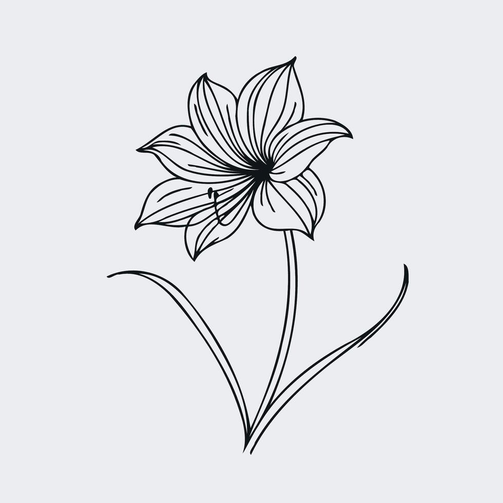 Hand Drawn Flowers Branch of Lilies on a white background. Isolated illustration lily in line art style. Template card, invitation, banner, tattoo, design element. vector