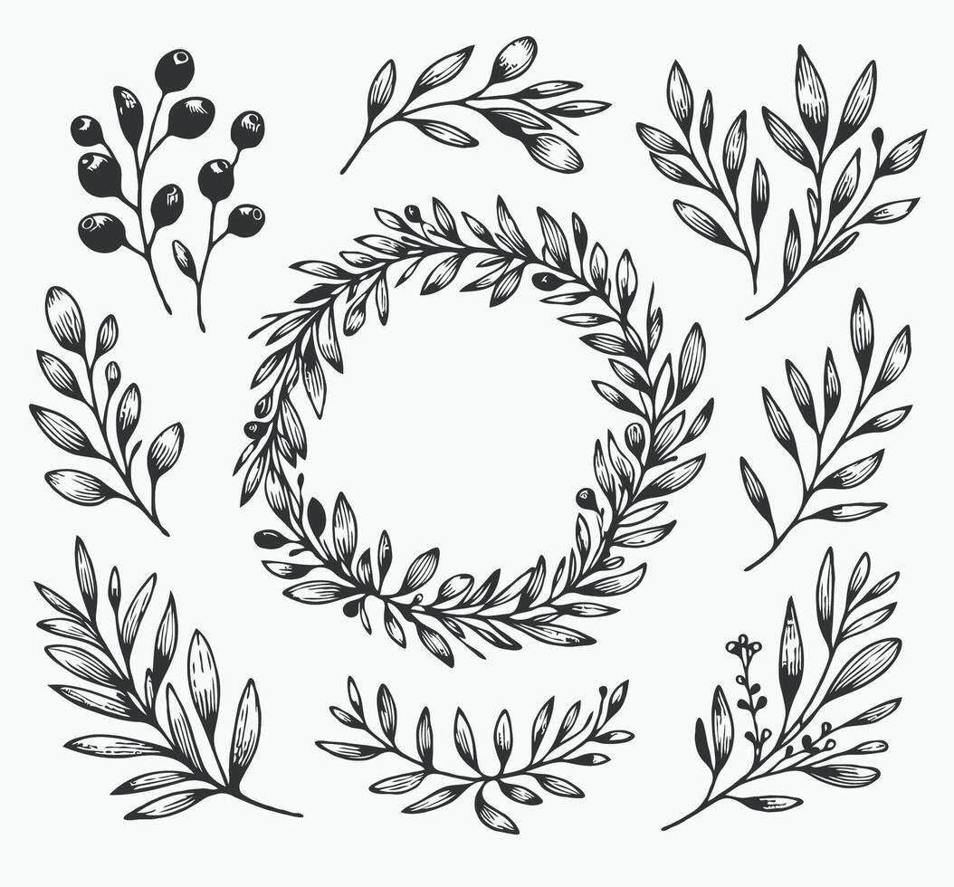 Collection of Outline Wild Flowers. Laurel Motif, wreath symbol. A wreath with a green leaves and a symbol for the winner of the contest. A wreath with the words olives on it vector