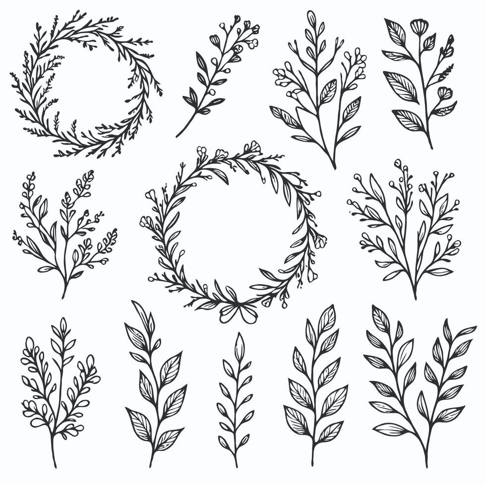 Round botanical wreath, wild flowers, branch wreath. Big set of flowers, buds, leaves and stems in engraving style. Hand drawn Decorative elements for greeting card, wedding invitation. vector