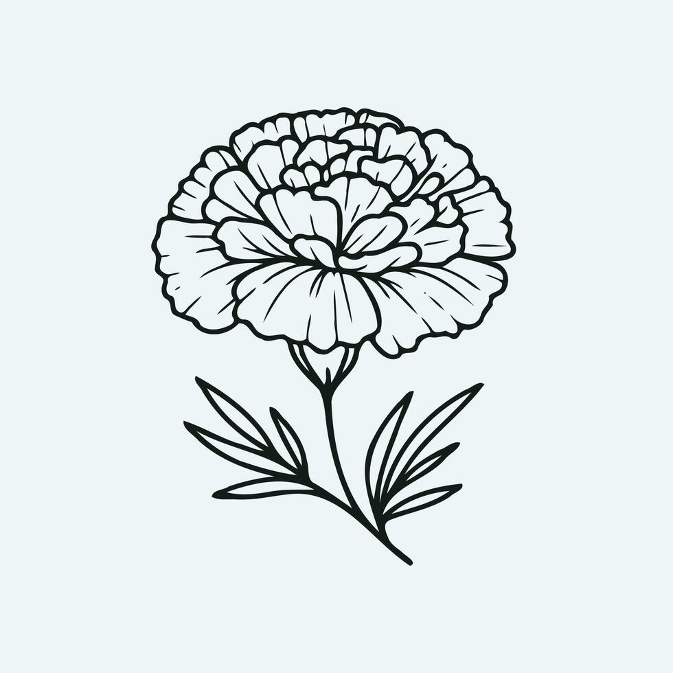 set of contour flowers, carnation line art floral, leaves black and white illustration marigolds, decorative elements of plants vector