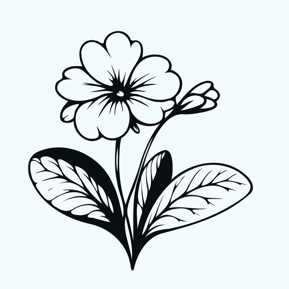 hand drawn pansy, Wittrock violet, bindweed flower. Black and white background, set of contour flower, floral line art of mountain violet vector
