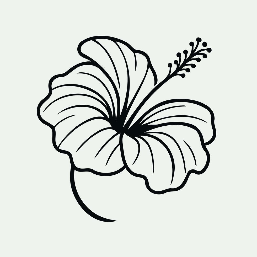 Red Hibiscus blooming flower with hand drawn style. Chinese rose drawing illustration. Outline Black And White Line Drawing Of Flowers And Leaves. vector