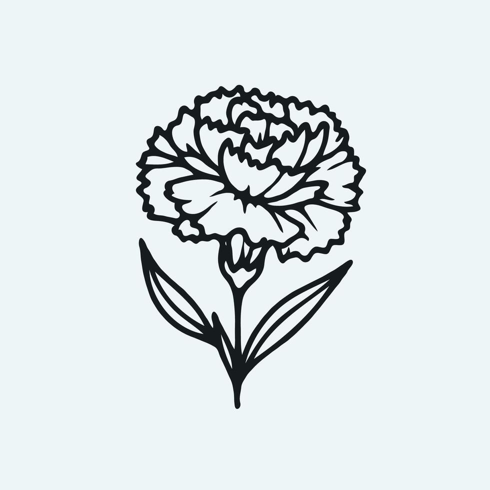 set of contour flowers carnation line art floral, leaves black and white illustration marigolds, decorative elements of plants vector