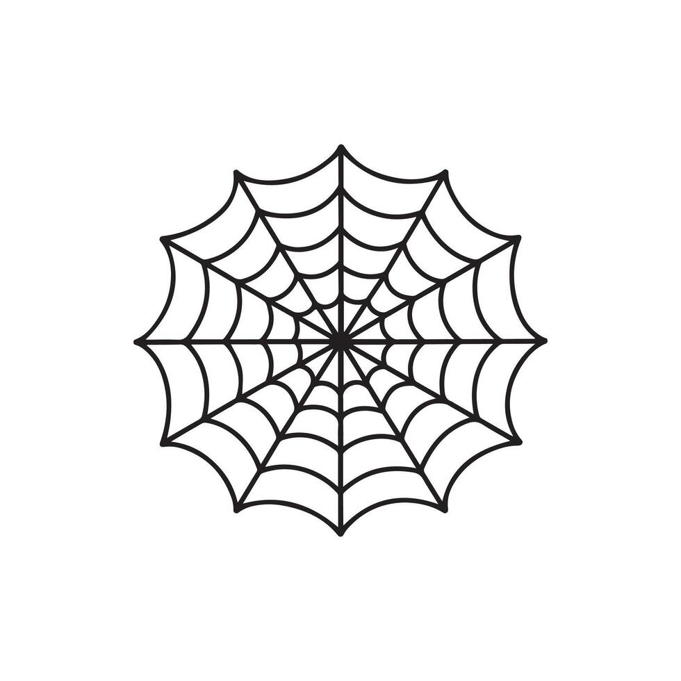 Spider web isolated on wite background vector