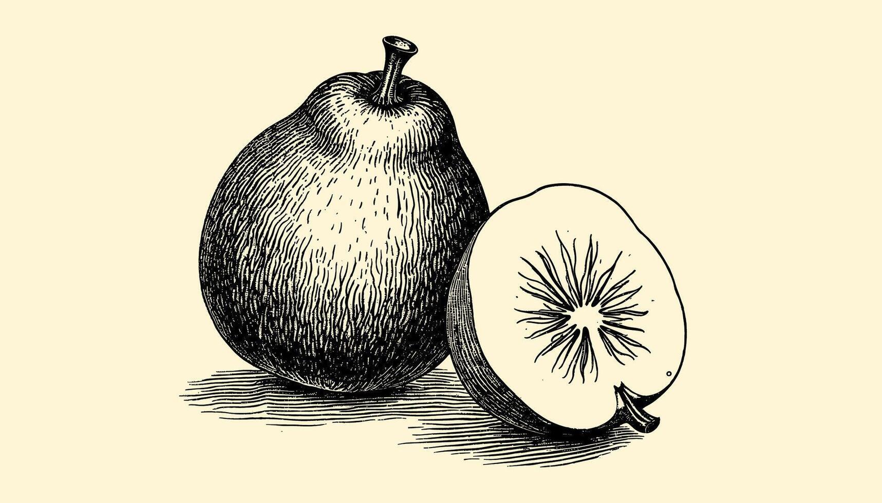 Sepia and black-toned illustration of a guava with elaborate vintage engraving vector