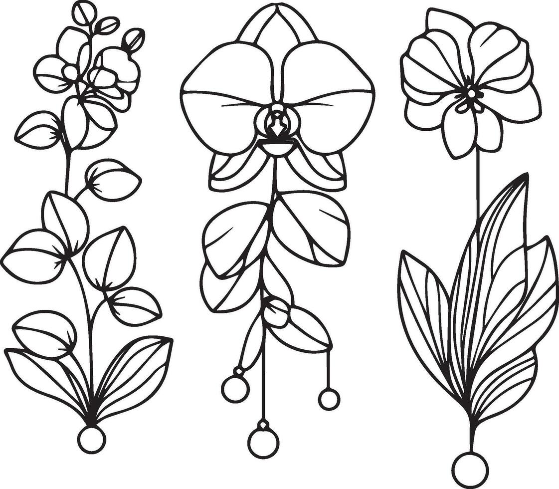Cute flower coloring pages, Orchid flower line drawing, Orchid flower drawing, Hand drawn botanical spring elements bouquet of calla line art coloring page, easy orchid flower drawing vector