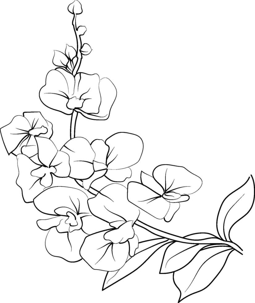 Orchid flower isolated hand-drawn floral element. illustration bouquet of Orchid flowers, sketch art beautiful Orchid flower tattoo, coloring page for adults, vector