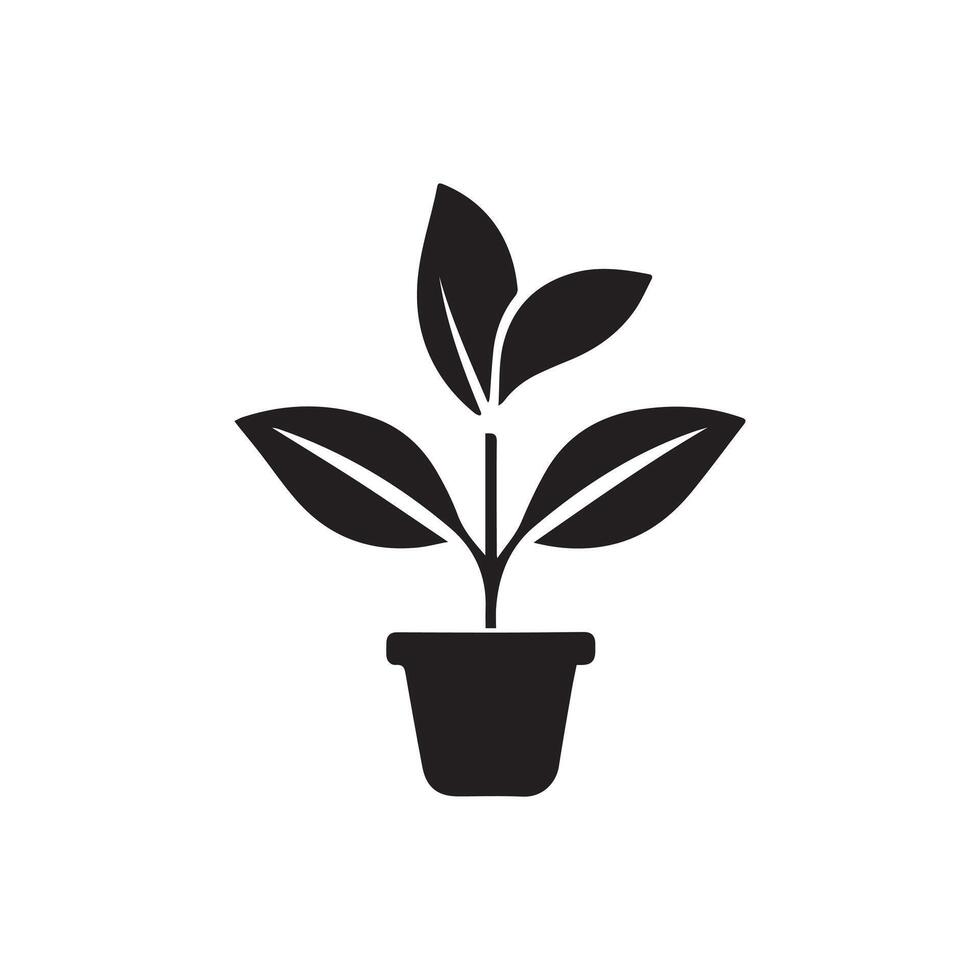 A plant in vase icon silhouette on white background vector