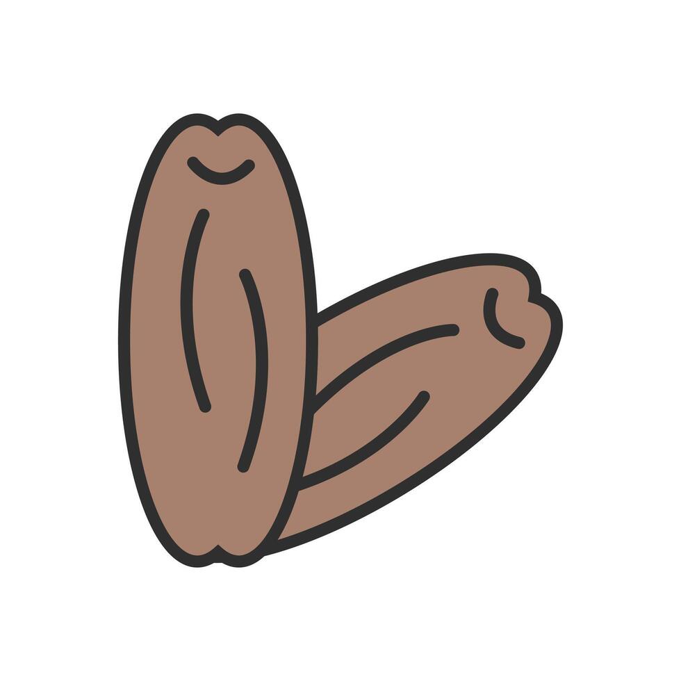 icon of two dates for breaking the fast vector
