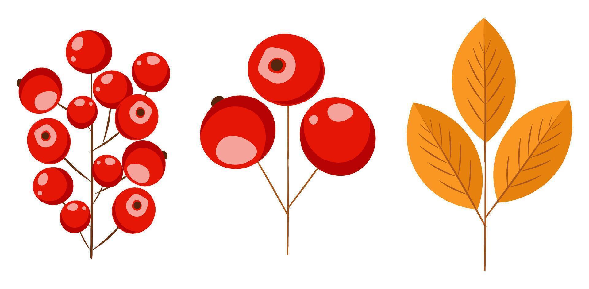 Hello autumn, autumn leaves, red berries and mushrooms flat, colored leaves isolated set, illustration vector