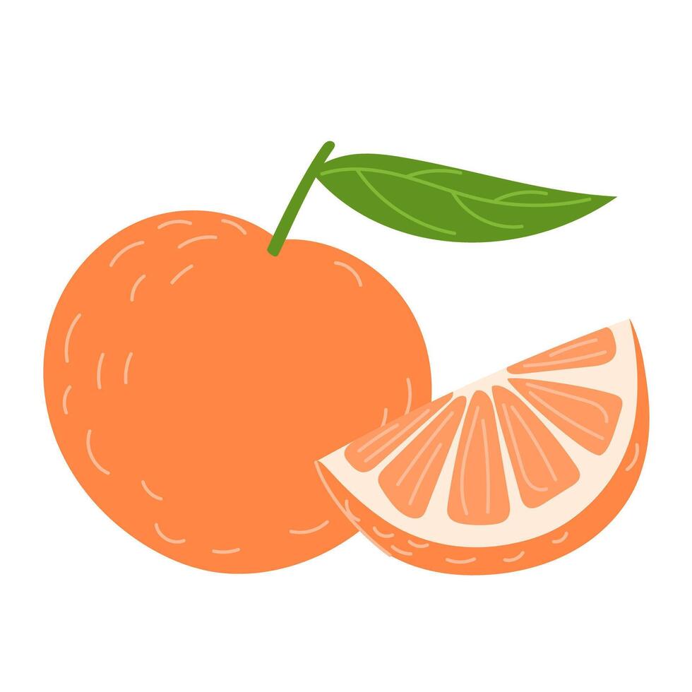Whole Orange with a Slice Showing Juicy Orange Flesh vector